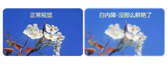 微信图片_20220525083255.png